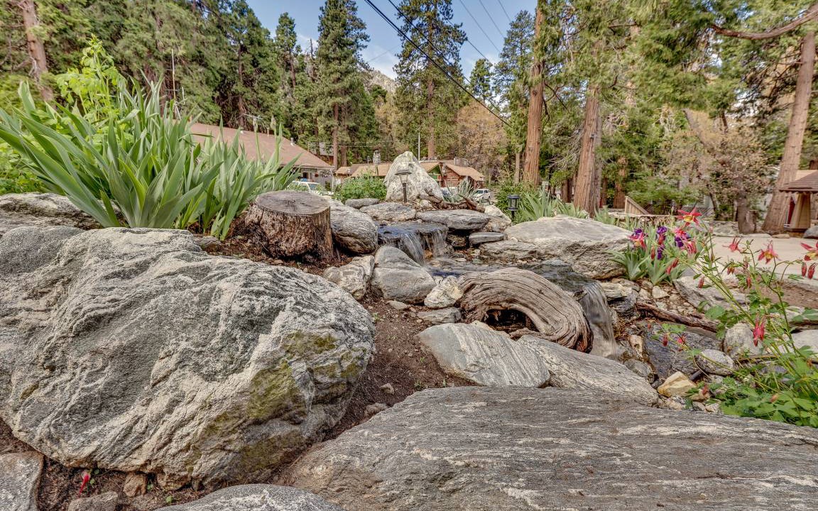 Photo of Others in Forest Falls