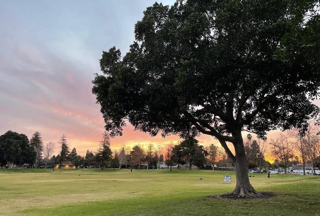 Photo of Others in Costa Mesa