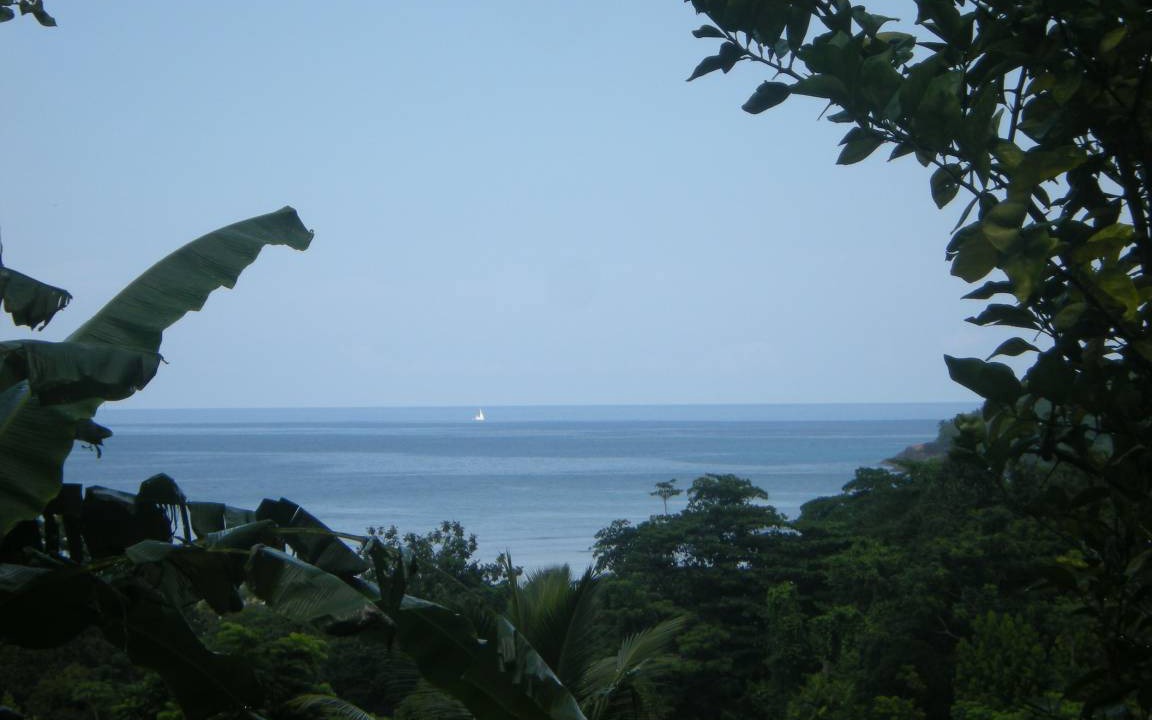 Photo of Others in Anse Boileau
