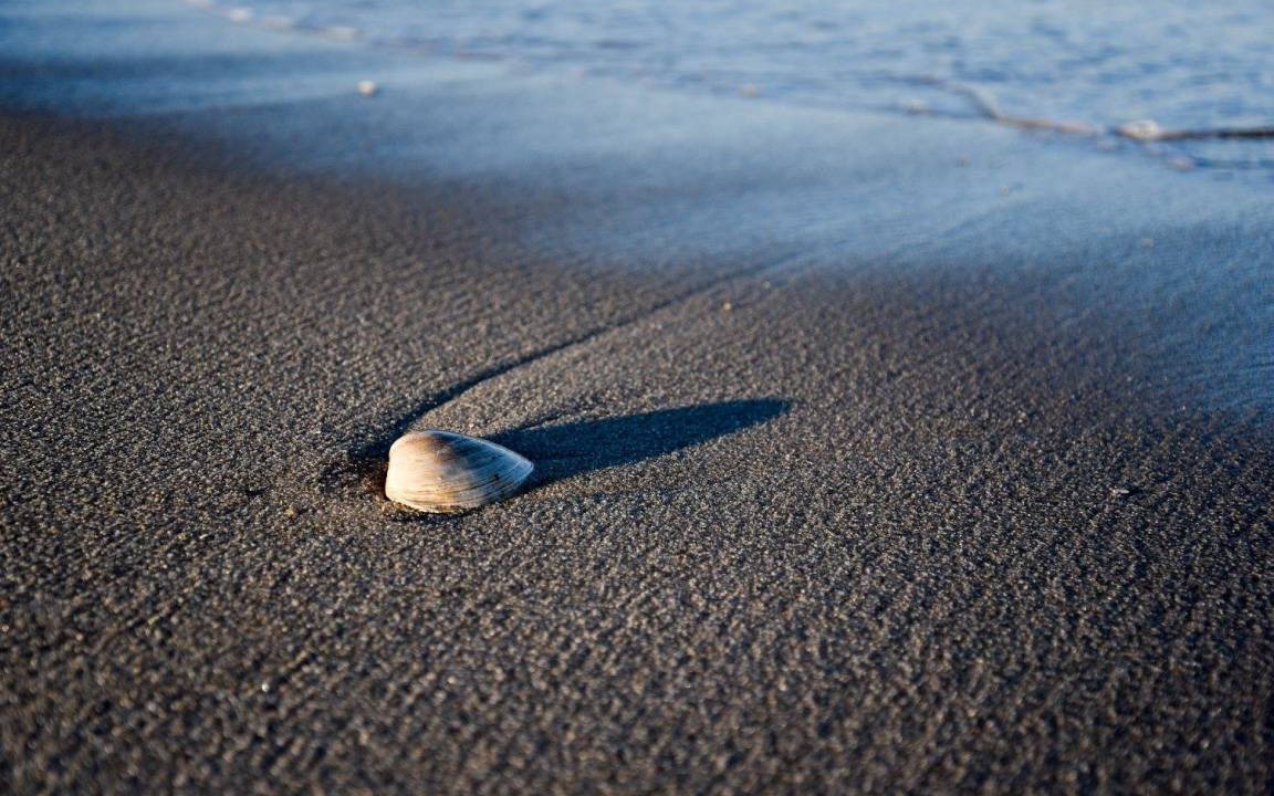 Photo of Others in Ocean Beach III