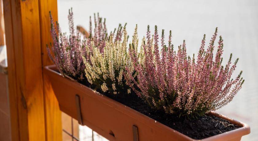 Photo of Patio Balcony in Zalaegerszeg
