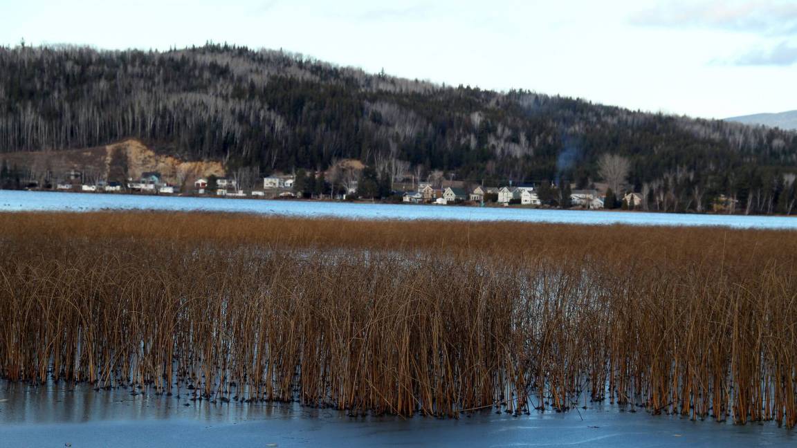 Photo of Others in Notre-Dame-des-Monts