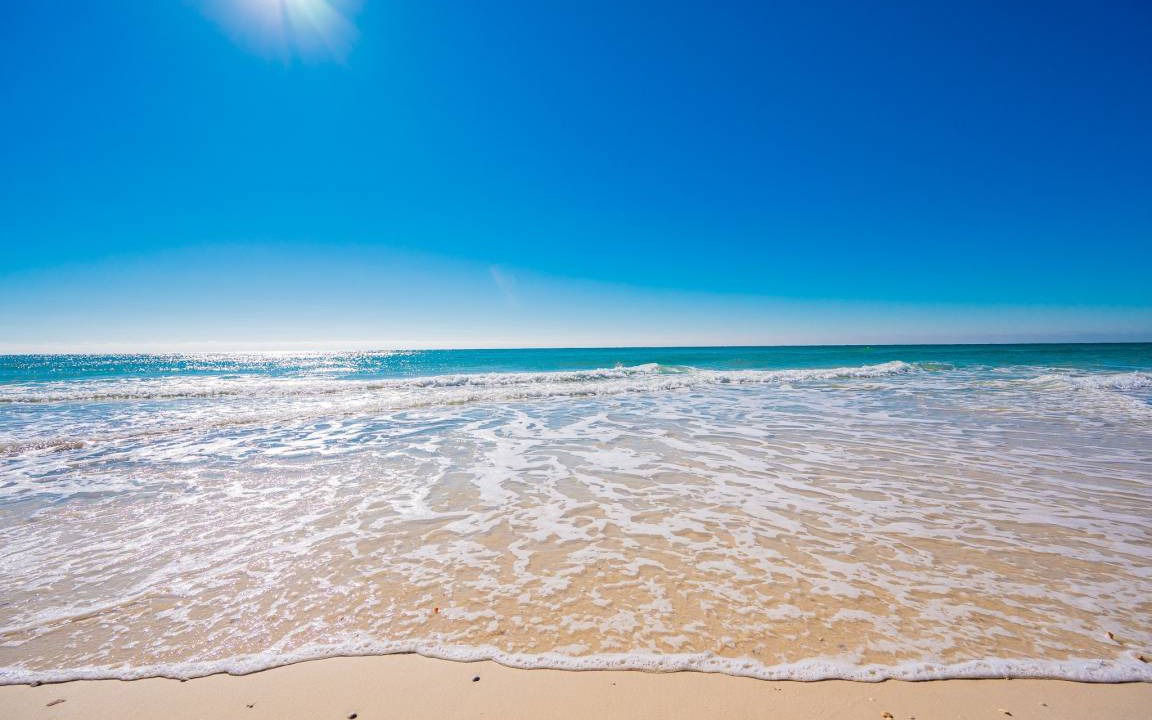 Photo of Others in Gulf Shores