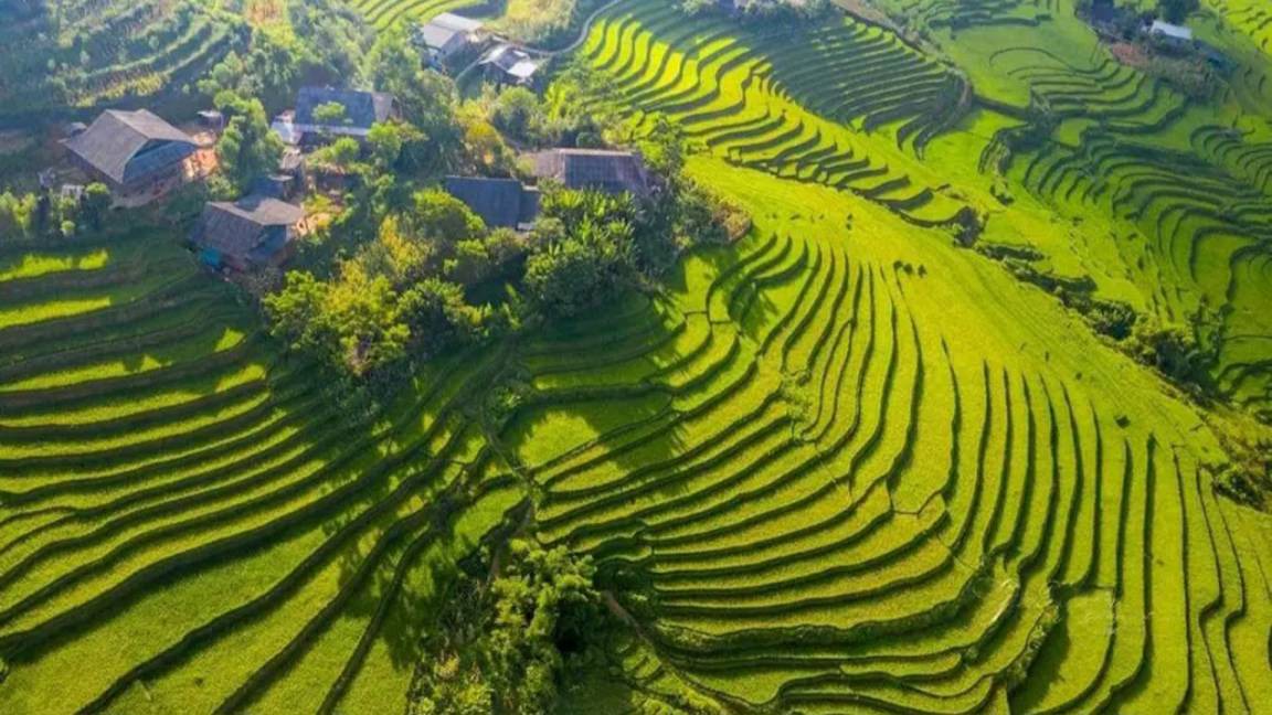 Photo of Others in Sa Pa