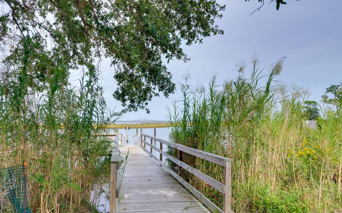 Photo of Others in Dauphin Island