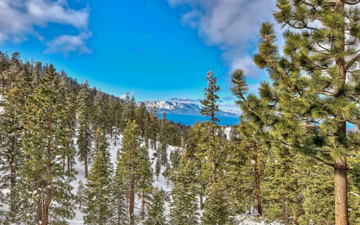 Photo of Others in Tahoe Village