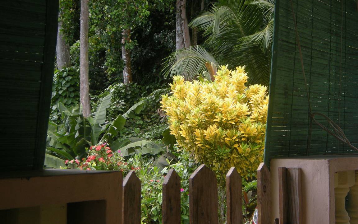 Photo of Others in Anse Boileau
