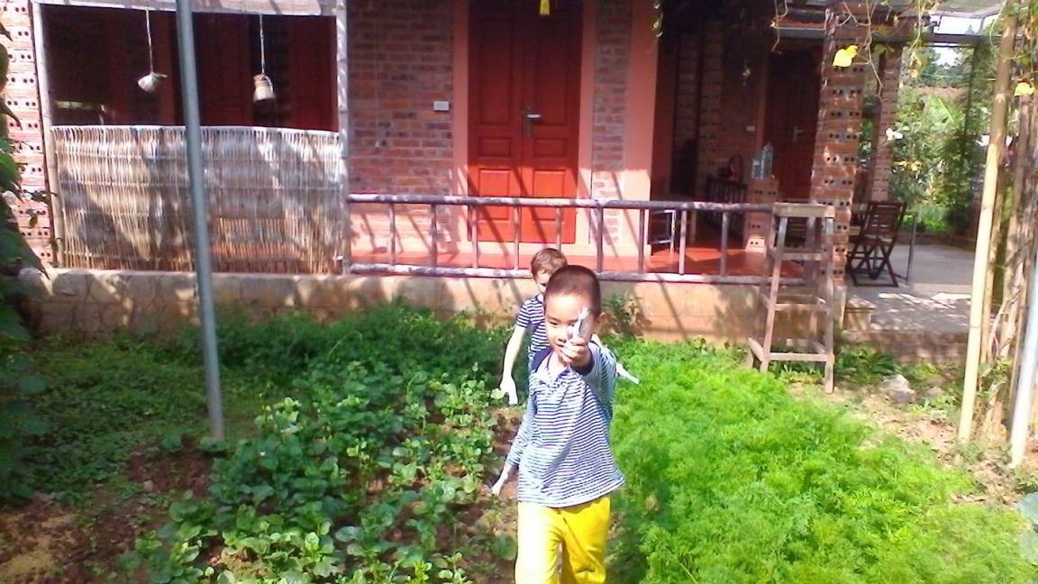Photo of Others in Dong Giang