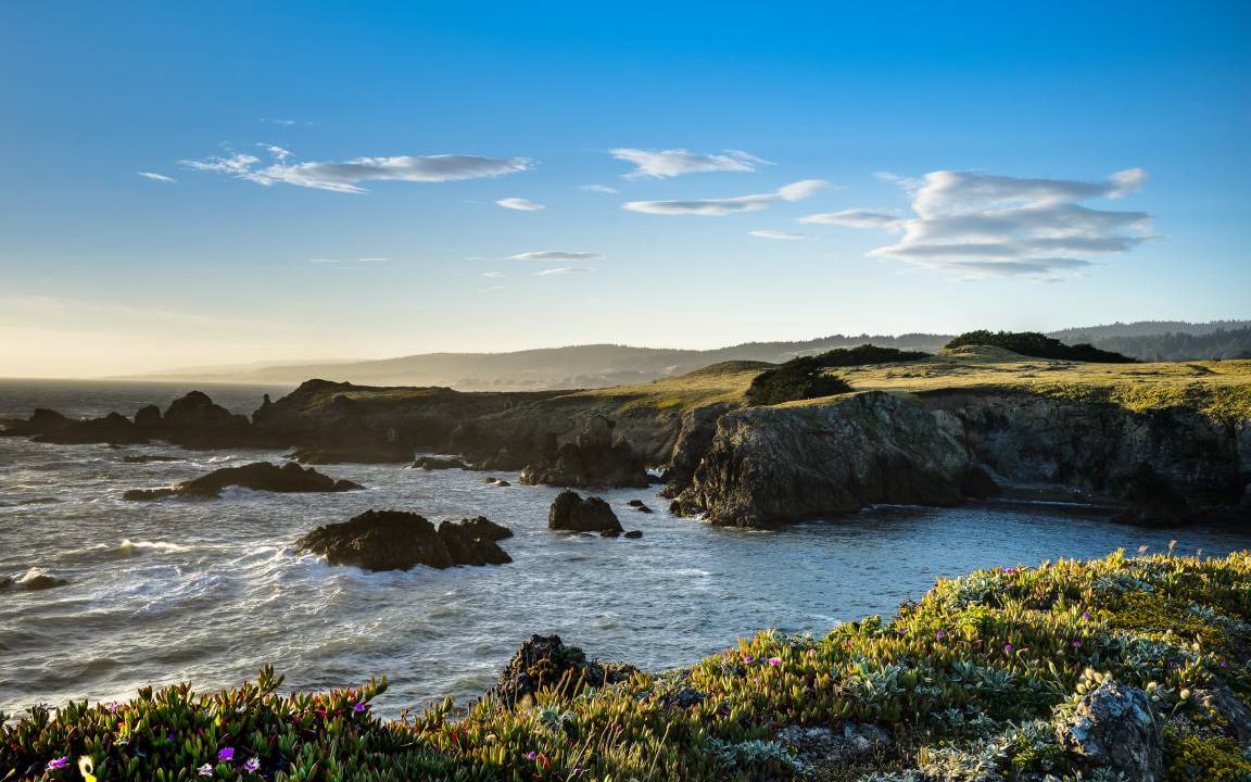Photo of Others in Sea Ranch