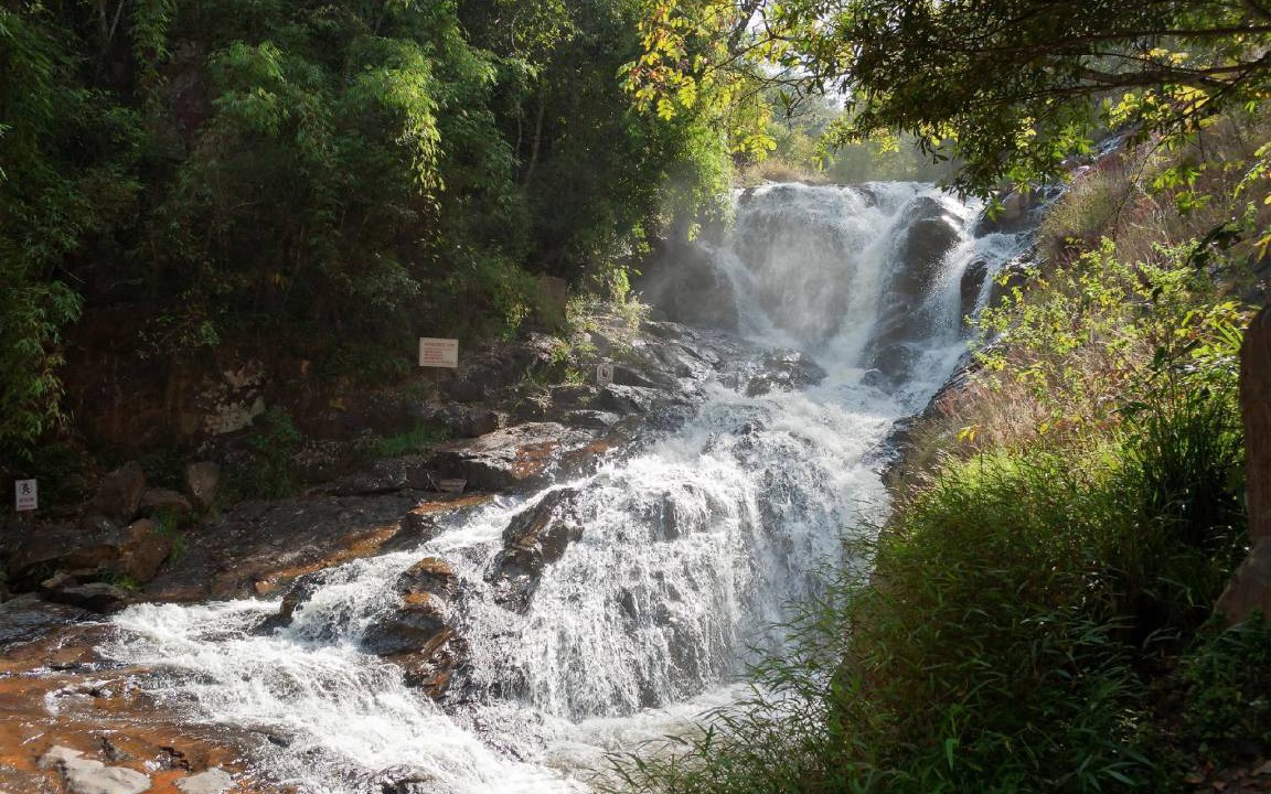 Photo of Others in Da Lat