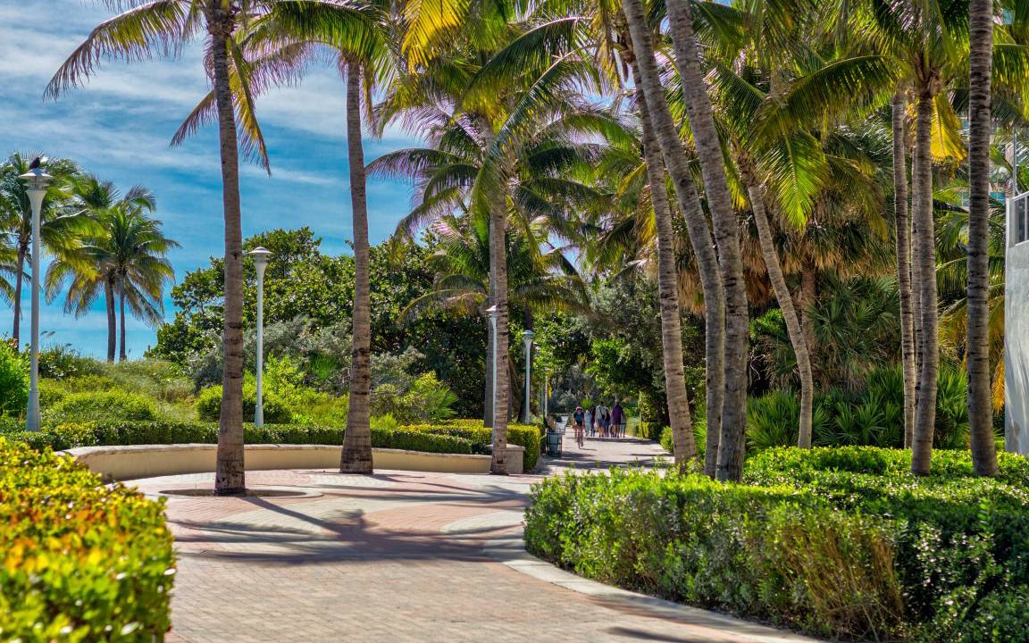 Photo of Others in South Beach