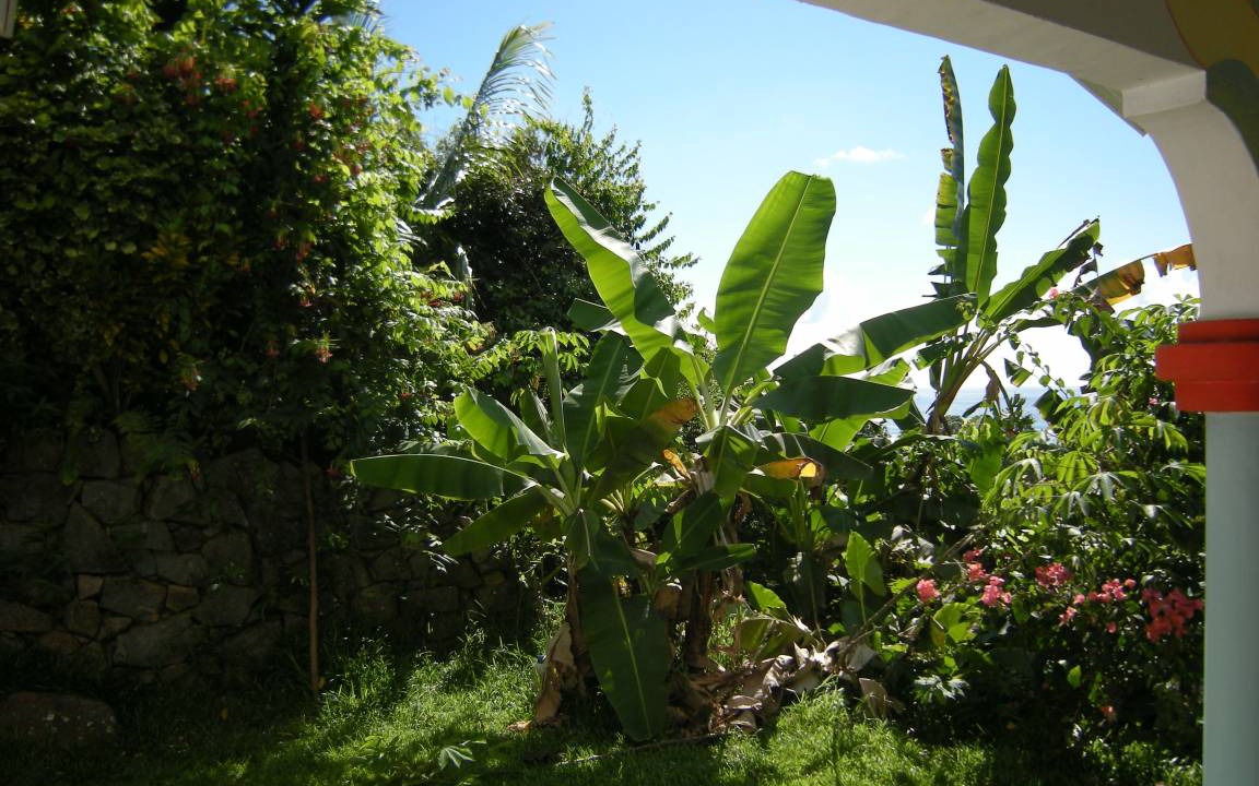 Photo of Others in Anse Boileau