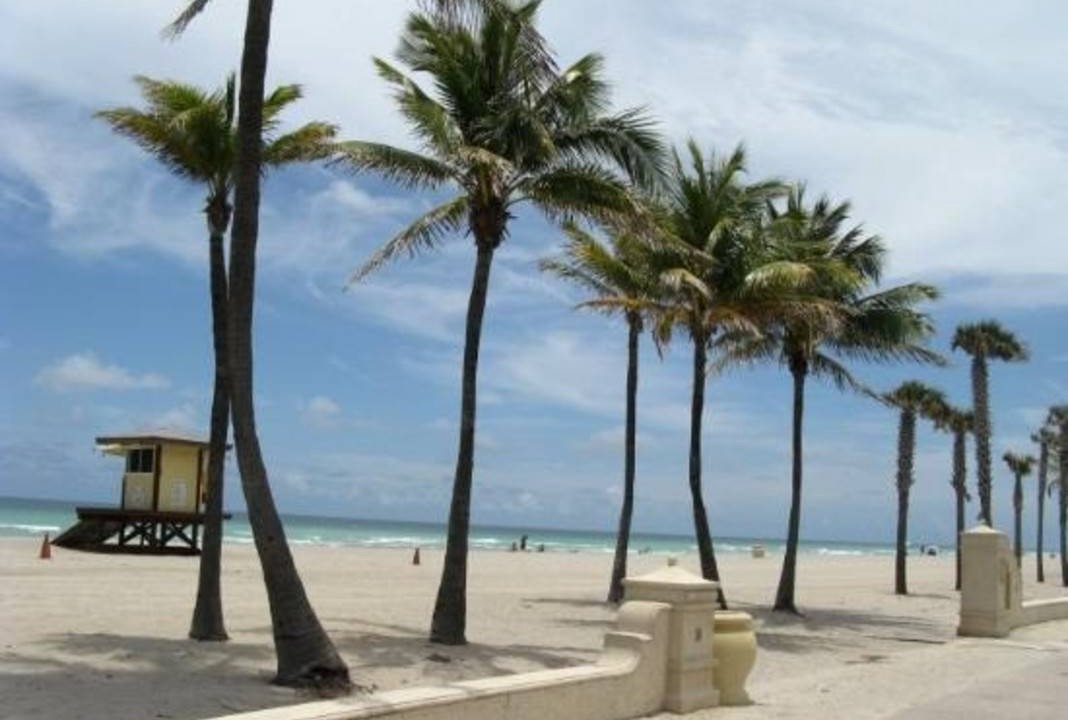 Photo of Others in Hallandale Beach