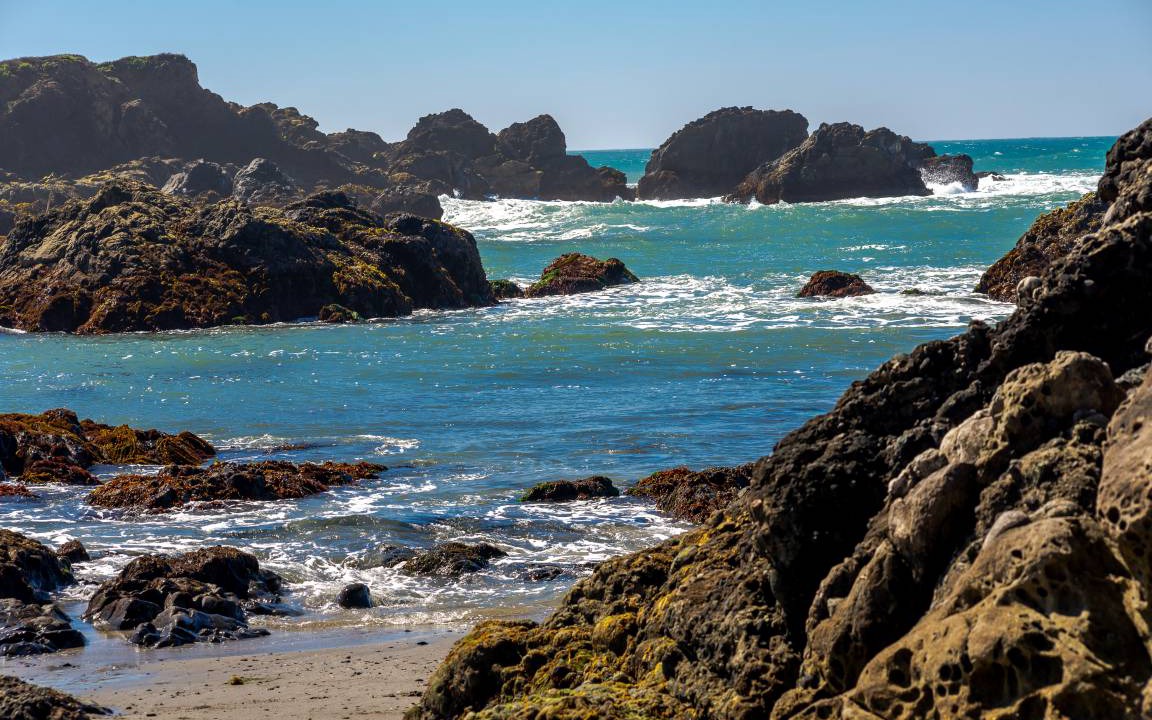 Photo of Others in Sea Ranch