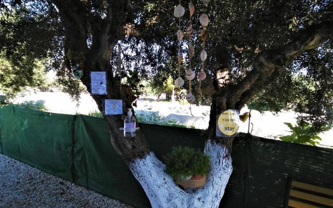 Photo of Others in Ferma