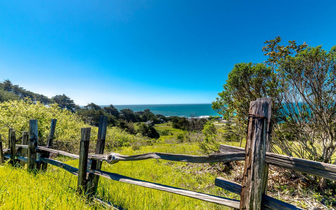 Photo of Others in Sea Ranch