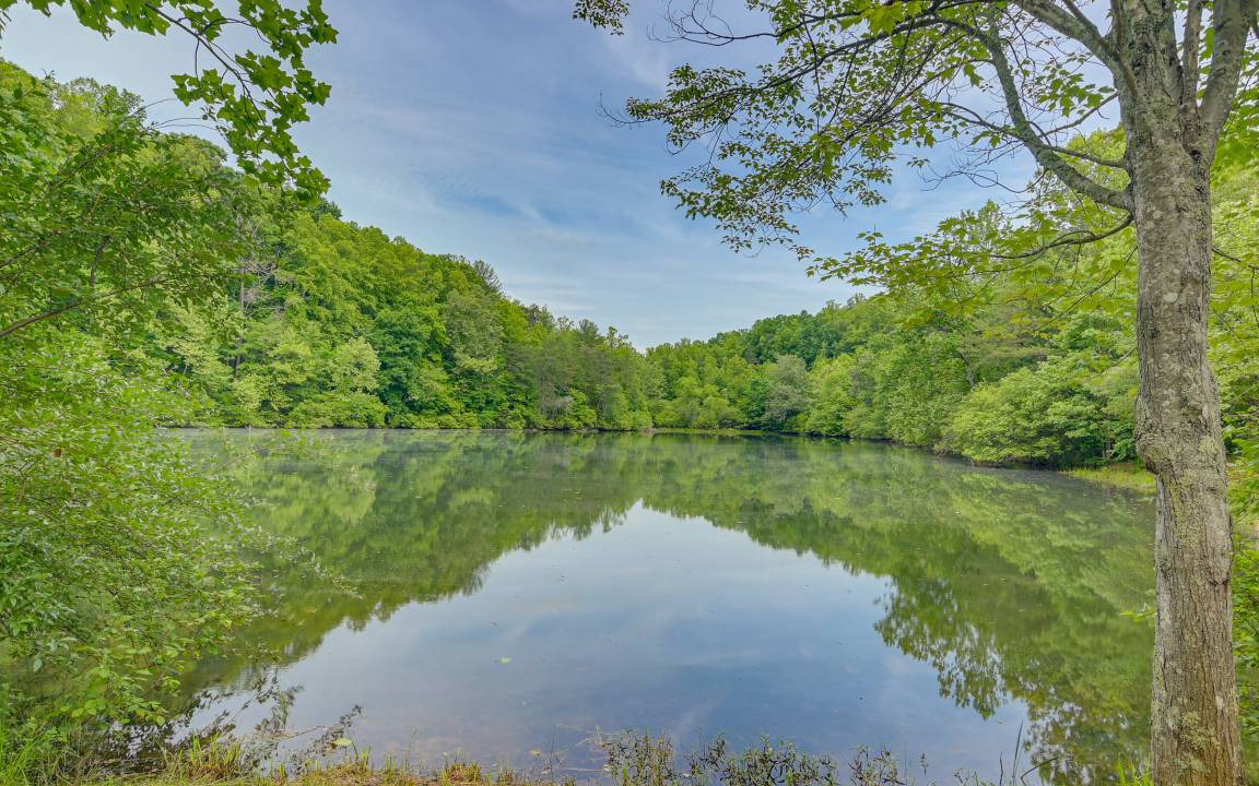 Photo of Others in Smith River