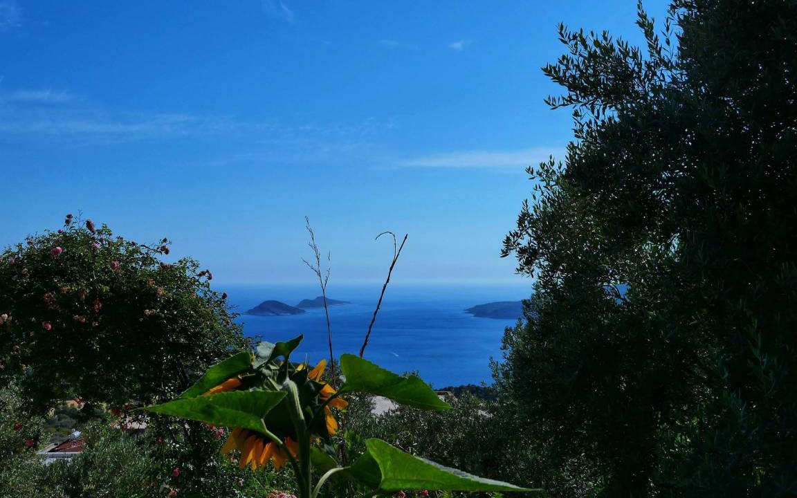 Photo of Others in Kalkan