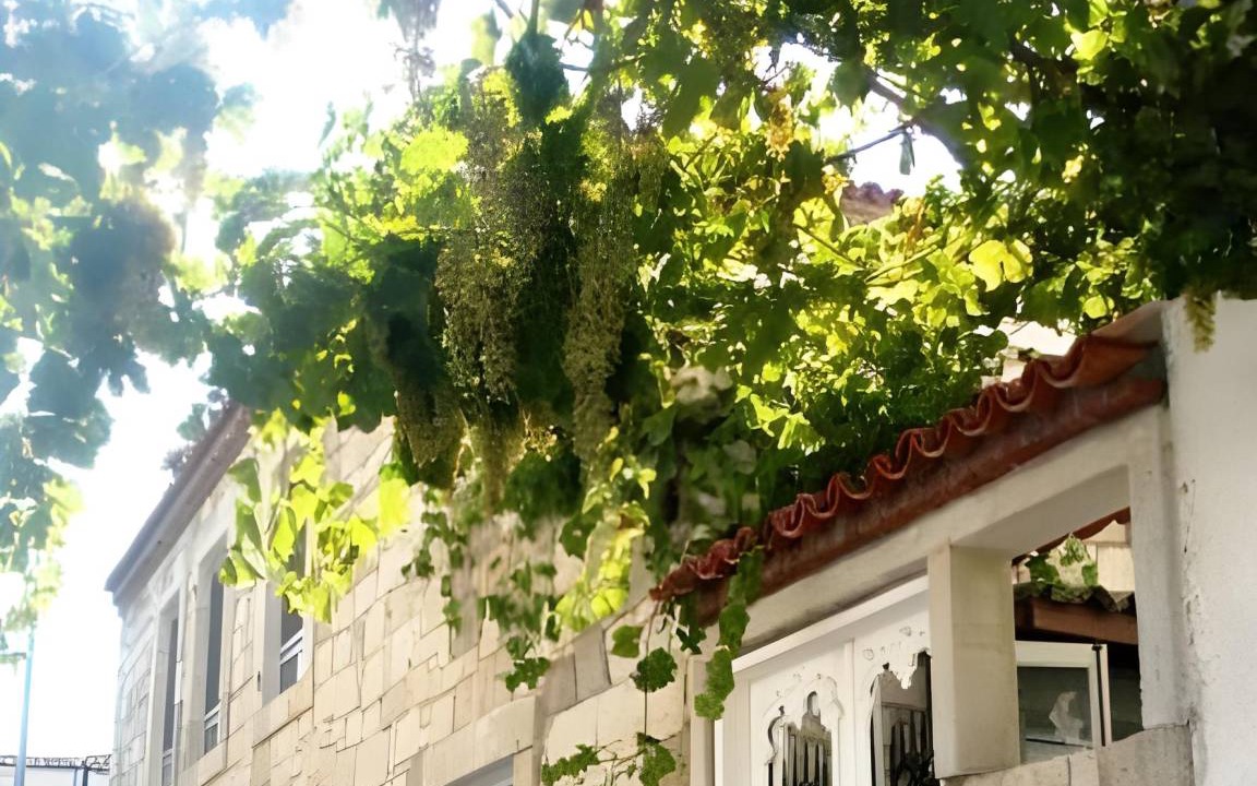 Photo of Others in Hacımemis