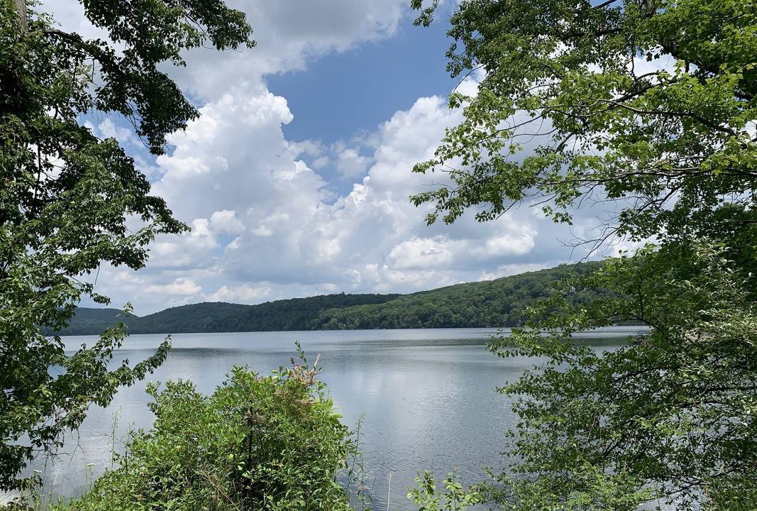 Photo of Others in Tuxedo Park