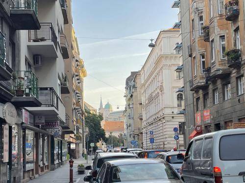 Photo of Buildings in Vizivaros