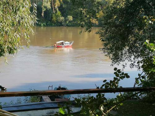 Photo of Others in Szeged