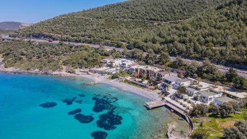 Photo of Others in Bodrum
