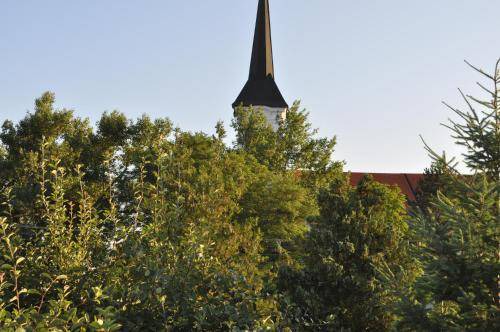 Photo of Others in Esztergom