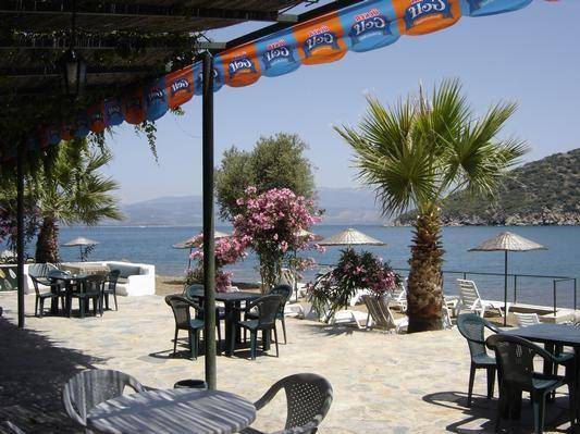 Photo of Others in Milas