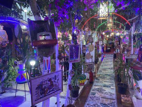 Photo of Others in Luxor