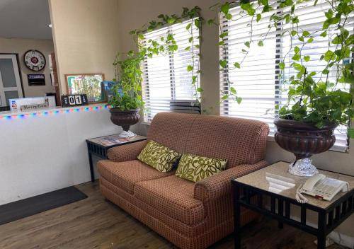 Photo of Livingroom in Kinston