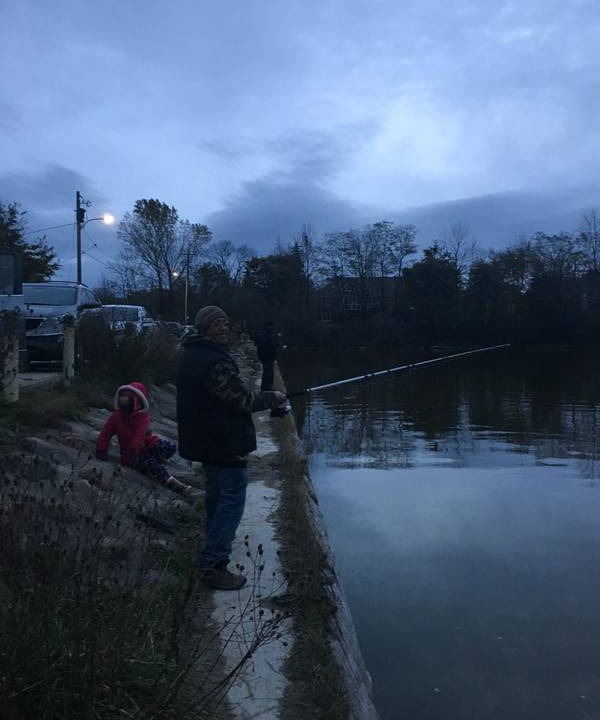 Photo of Others in Shelburne