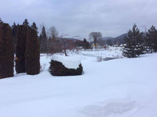 Photo of Others in L'Anse-Saint-Jean