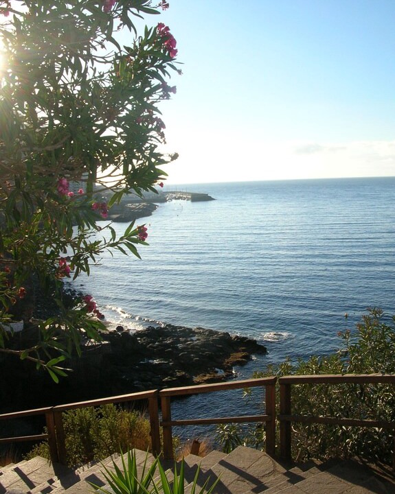 Photo of Others in Tabaiba