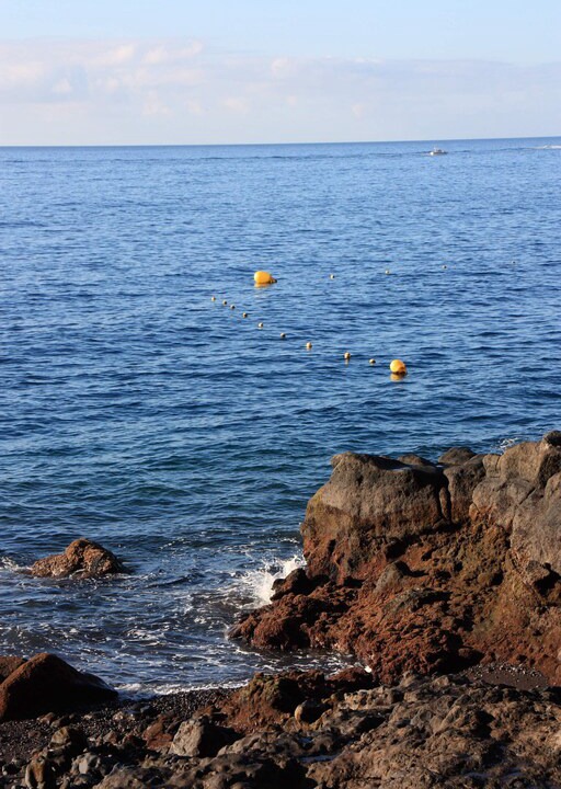 Photo of Others in Tabaiba