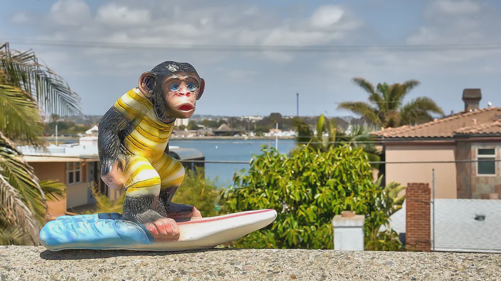 Photo of Others in South Mission Beach