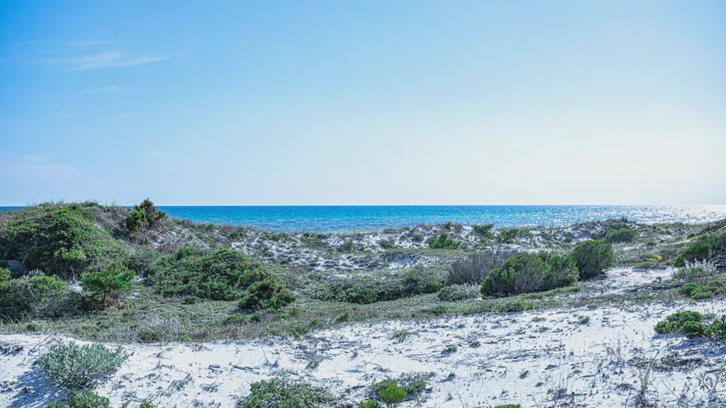 Photo of Others in Inlet Beach