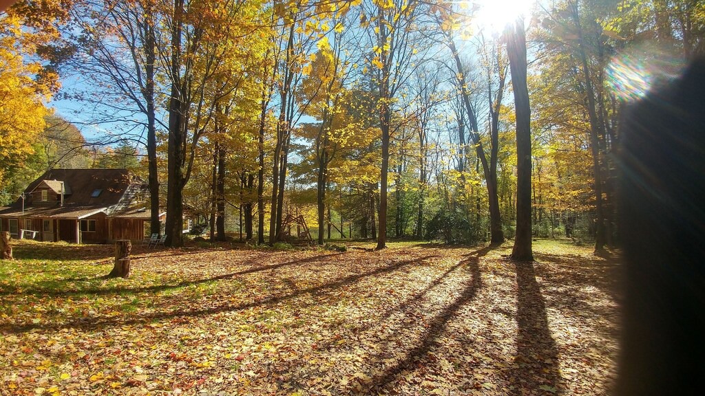 Photo of Others in Conewango Valley