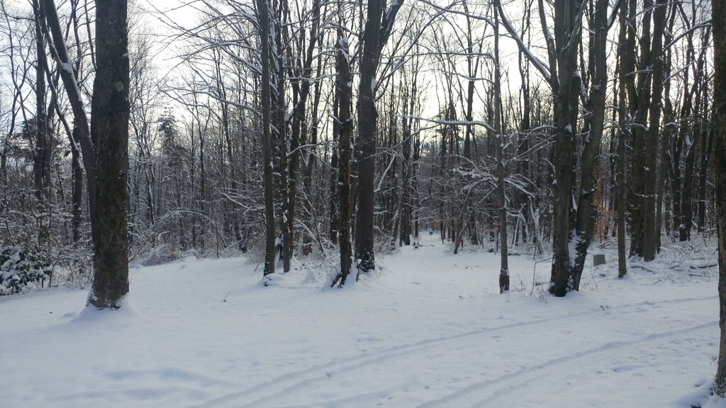 Photo of Buildings in Conewango Valley