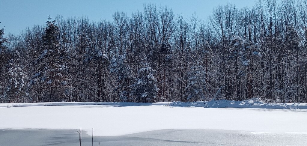 Photo of Outdoor in Conewango Valley