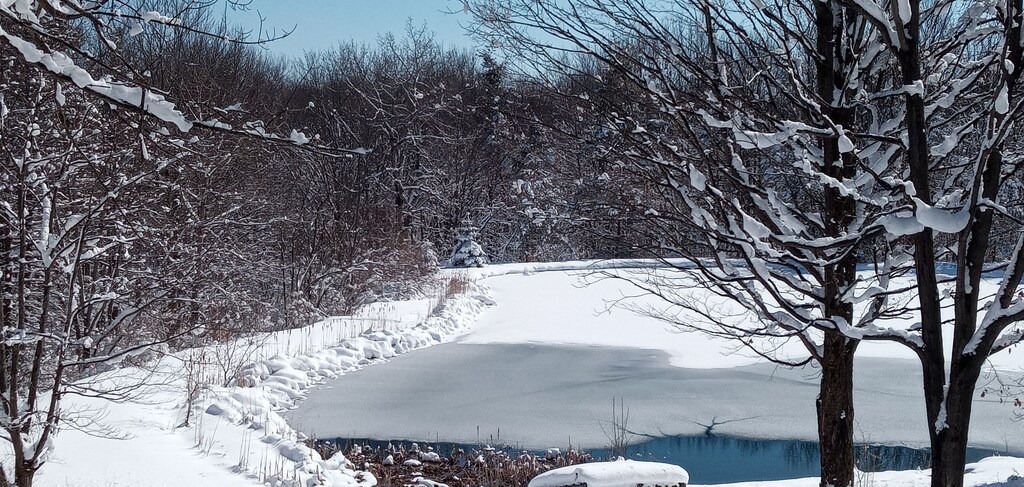 Photo of Others in Conewango Valley