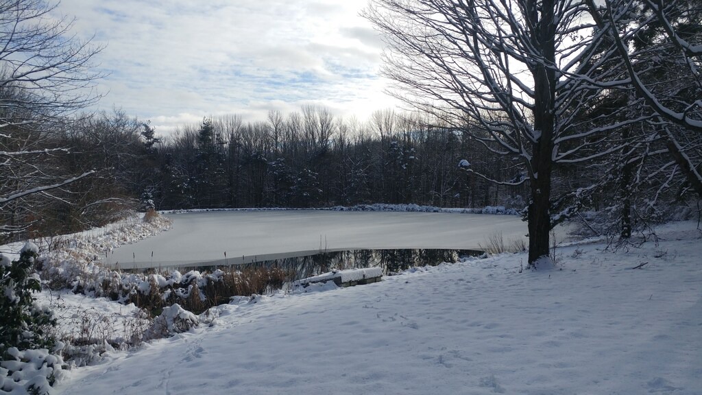 Photo of Others in Conewango Valley