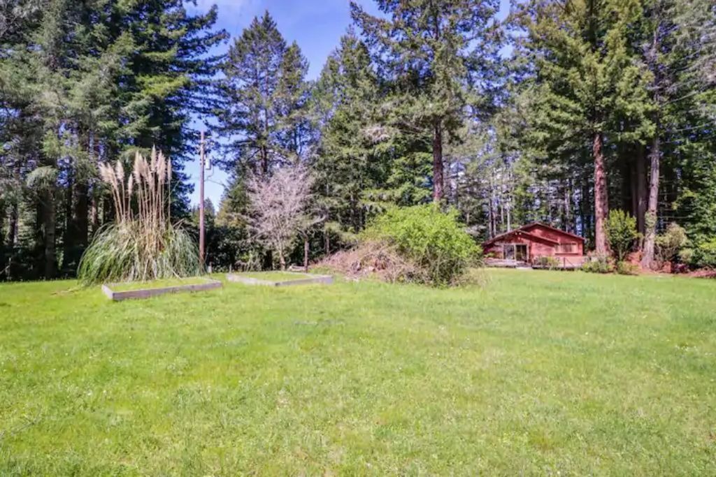 Photo of Outdoor in Little River