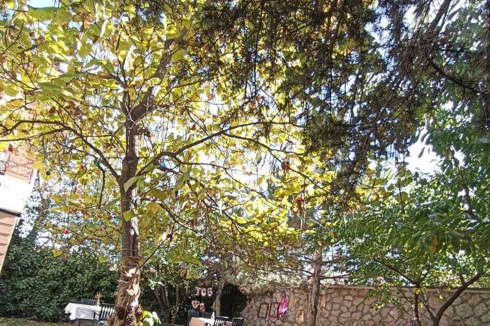 Photo of Outdoor in Ankara