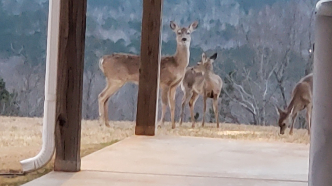 Photo of Others in Millerville