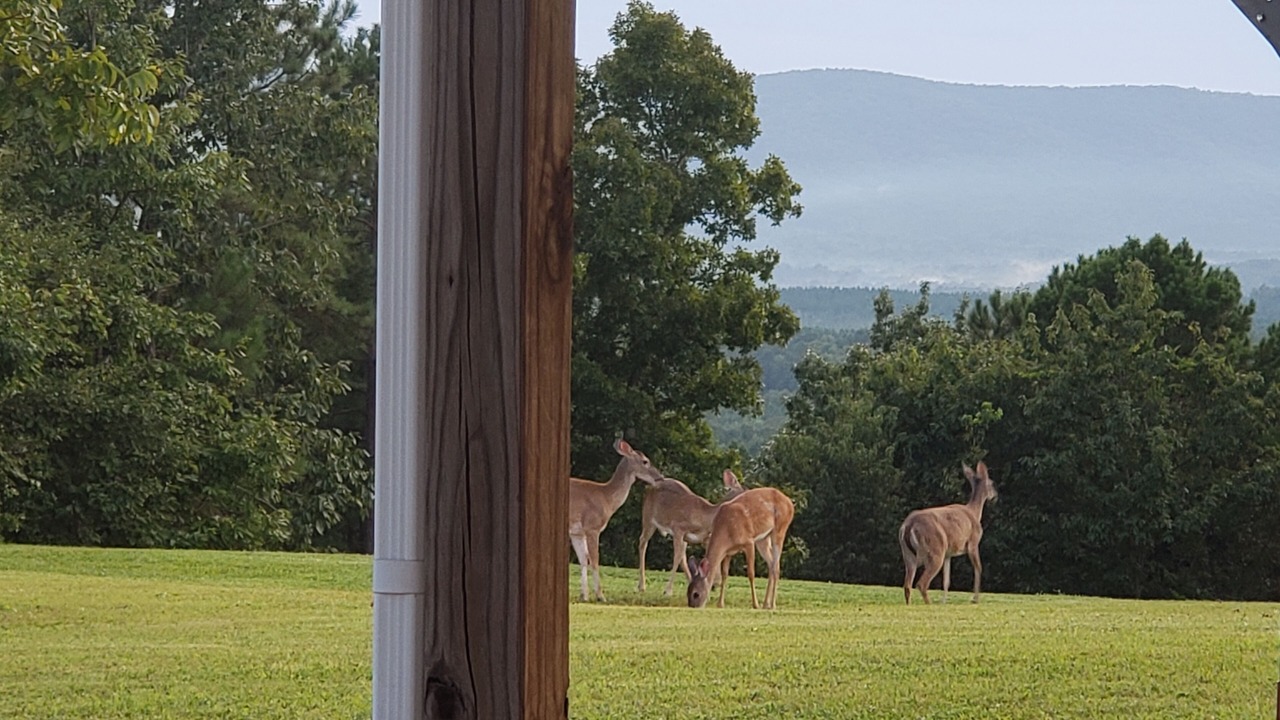 Photo of Others in Millerville
