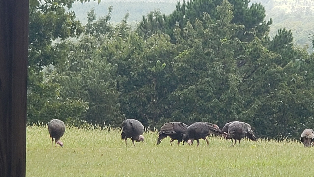 Photo of Outdoor in Millerville