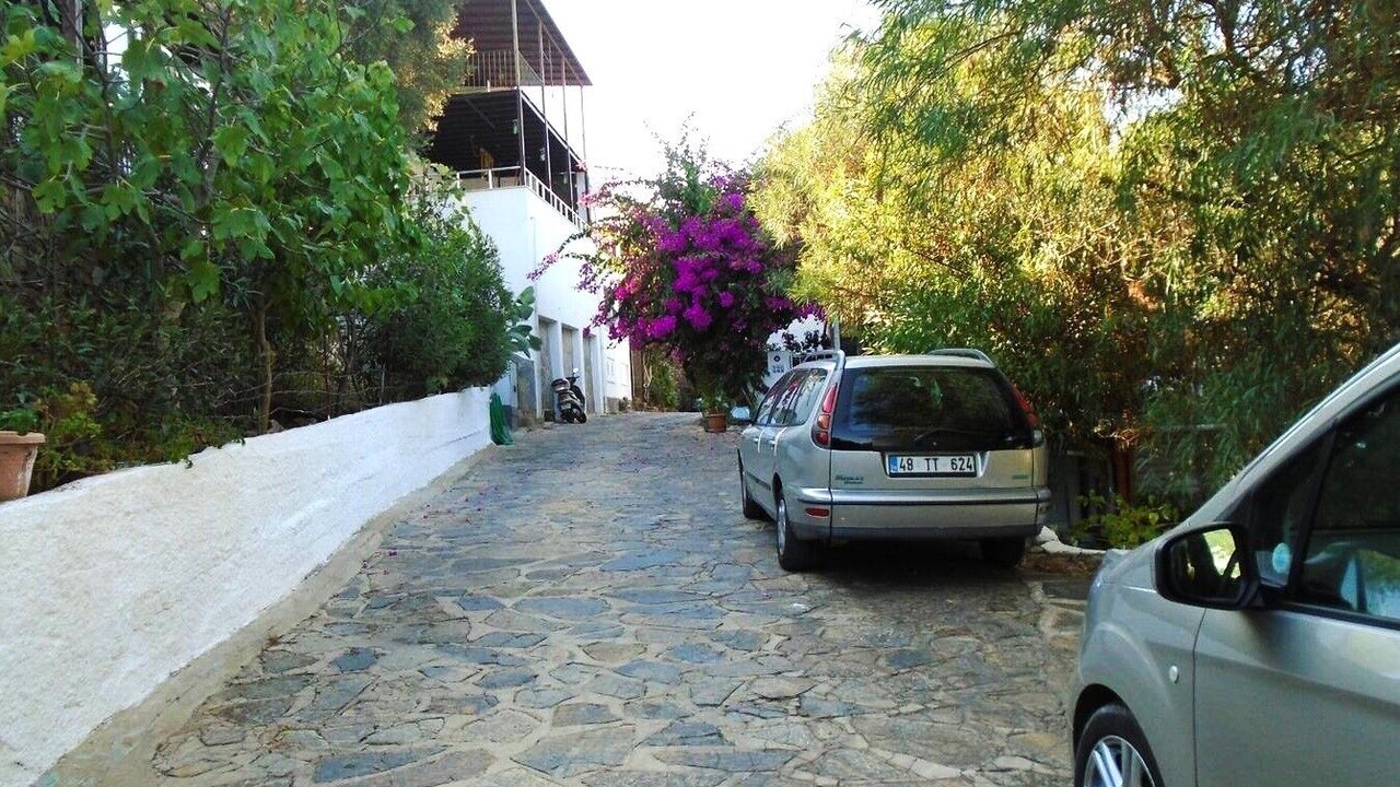 Photo of Outdoor in Torba