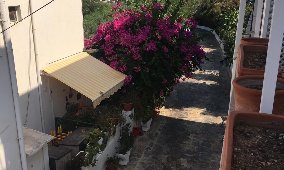 Photo of Outdoor in Torba
