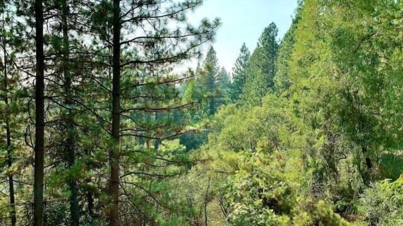 Photo of Outdoor in Apple Hill